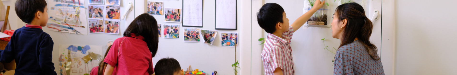 abacus_kindy_4134